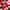 Gingembre Rouge Lait Corps Bienfaisant