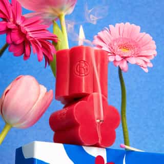 Fleur de Figuier Coffret Eau Parfumée 100ml + Bougie