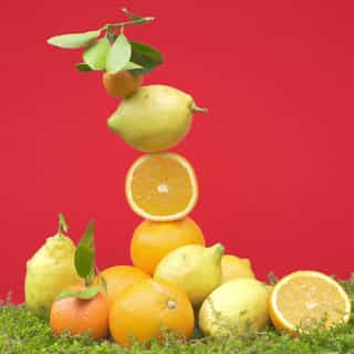 Cédrat Gel Douche Bienfaisant