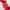 Gingembre Rouge Gel Douche Bienfaisant
