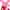 Rose Savon Bienfaisant