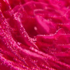Rose Gel Douche Bienfaisant