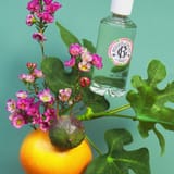 Fleur de Figuier Eau Parfumée Bienfaisante