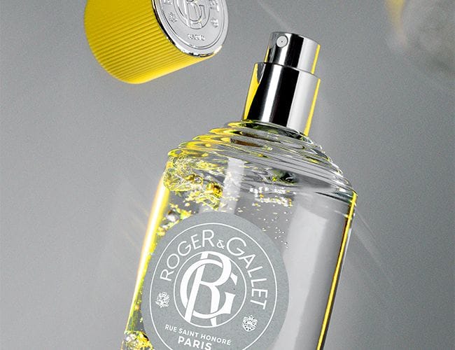 L'Art de la Toilette